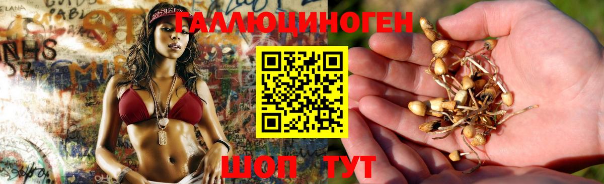 Псилоцибиновые грибы мицелий Королёв